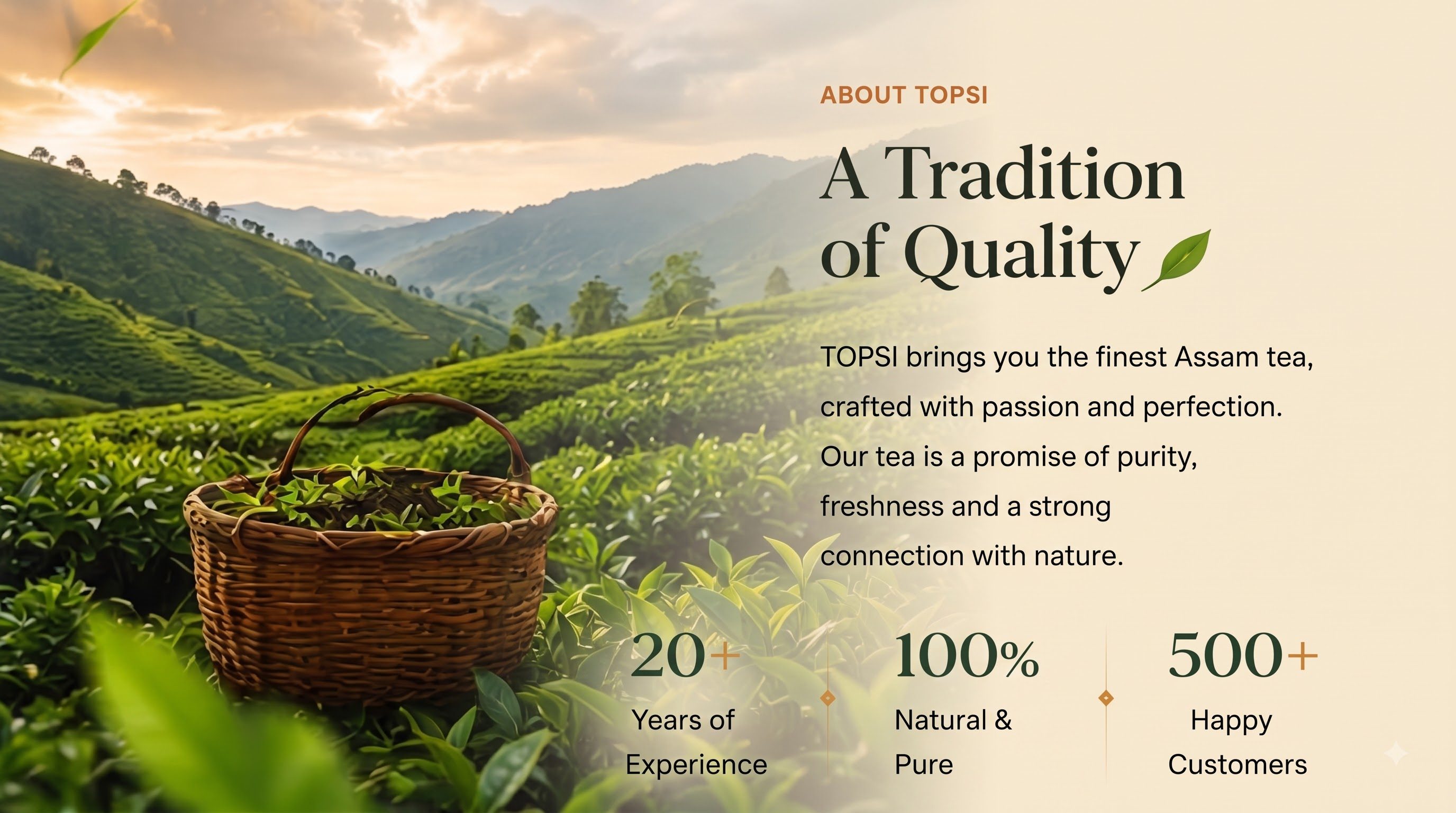 Assam Hills Tea Sourcing